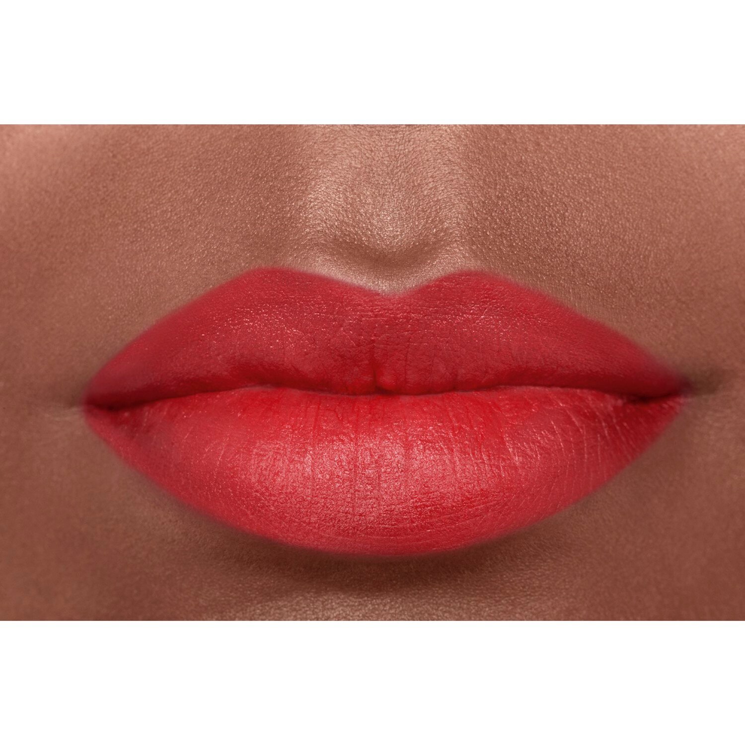 LA BARRA DE LABIOS ATERCIOPELADA LUMINOSA